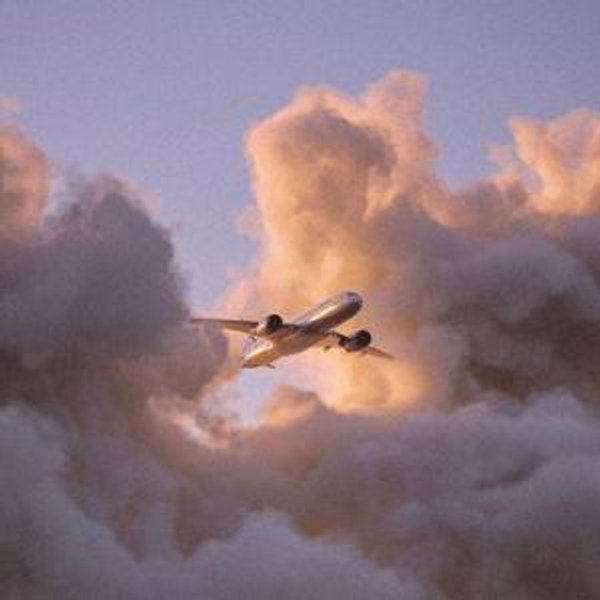 Honeymoon - Round Trip Plane Tickets