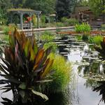 Denver Botanic Gardens