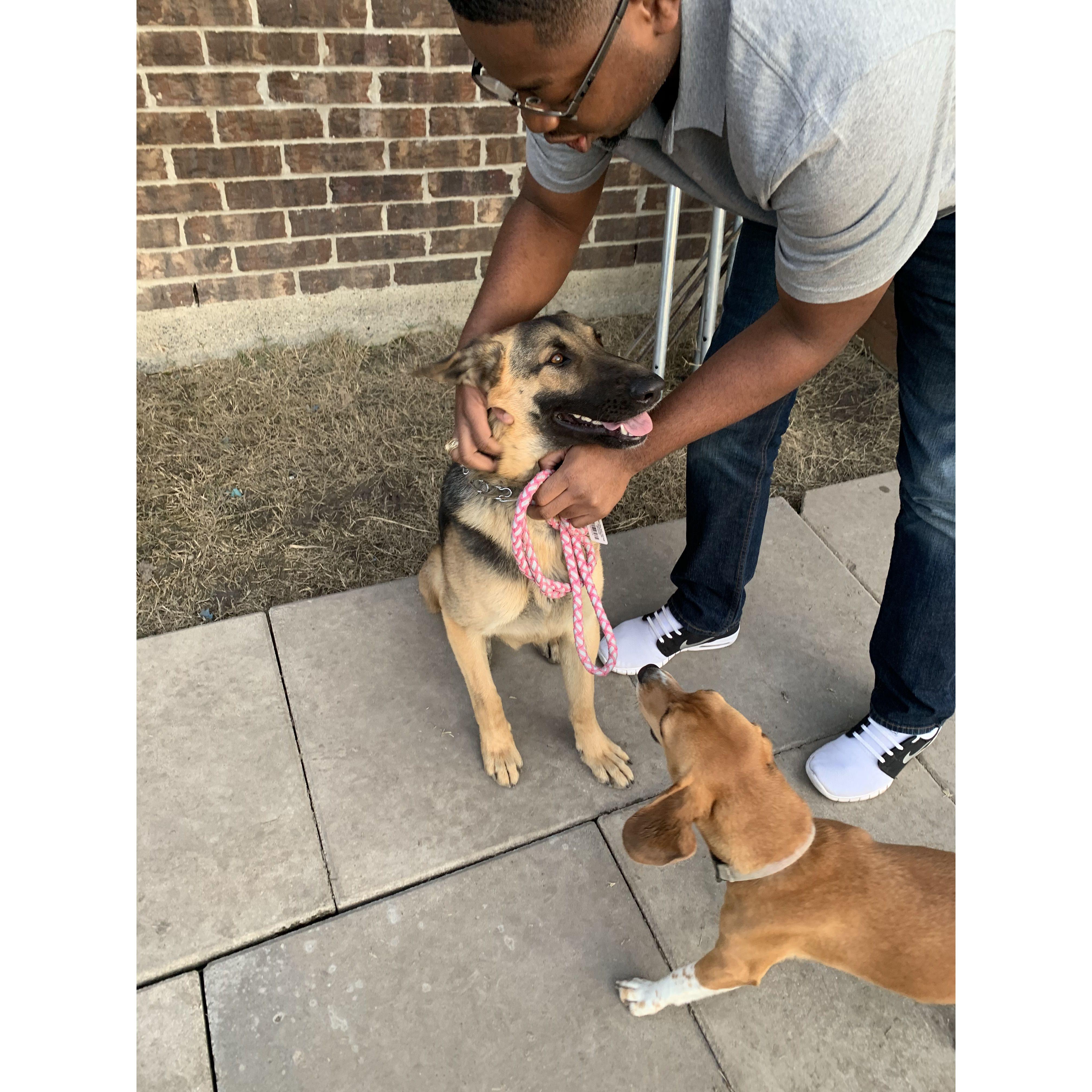 First Day as Roxie's Parents, February 2020