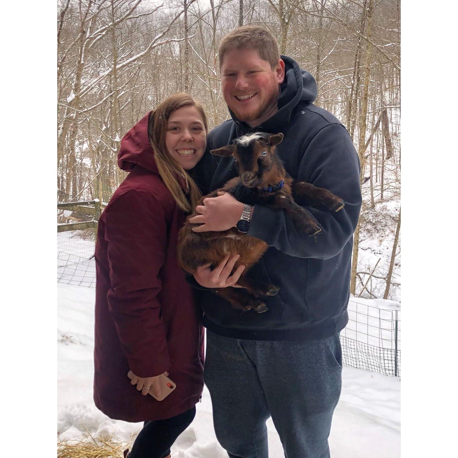 Our weekend adventure with Marvin the goat in West Virginia!