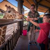 Outing: Utah's Hogle Zoo