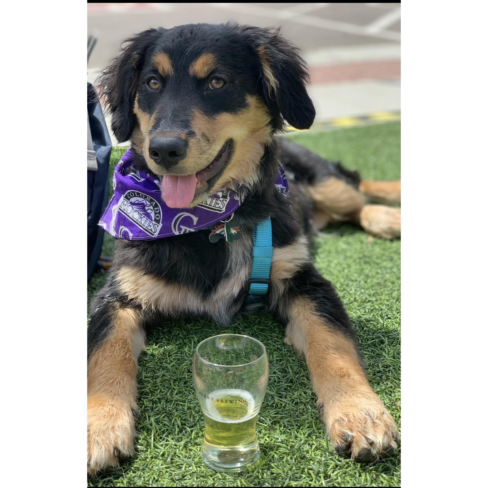 Bowie's first Brewery!