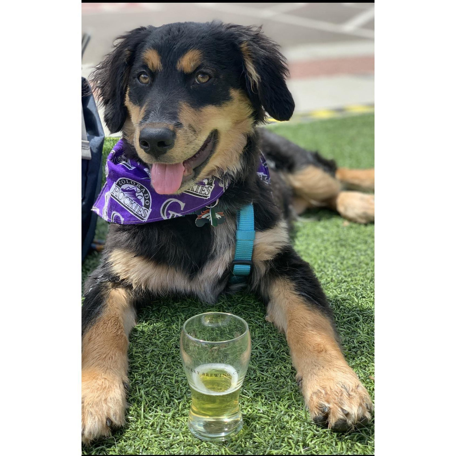 Bowie's first Brewery!