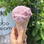 Coco + Cream Ice Cream