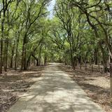 Brackenridge Park Trail
