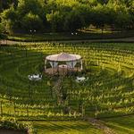 Wineries Nearby