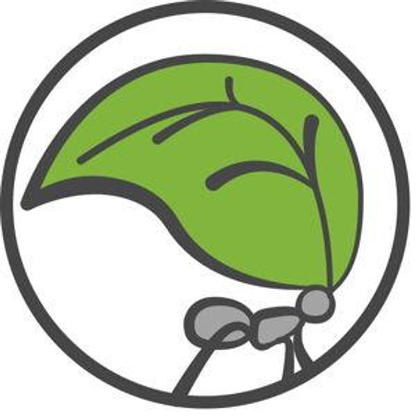 Alliance for a Sustainable Amazon