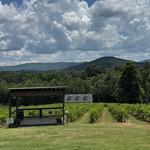 Ott Vineyards And Winery