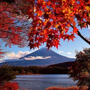 Ryokan (Japanese B&B) stay in Hakone (Mt. Fuji)