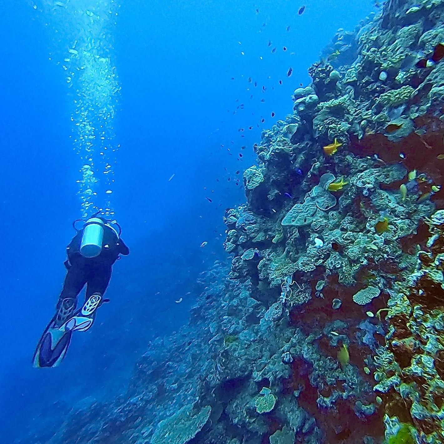Great Barrier Reef, Australia