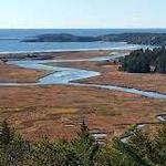 Bates–Morse Mountain Conservation Area