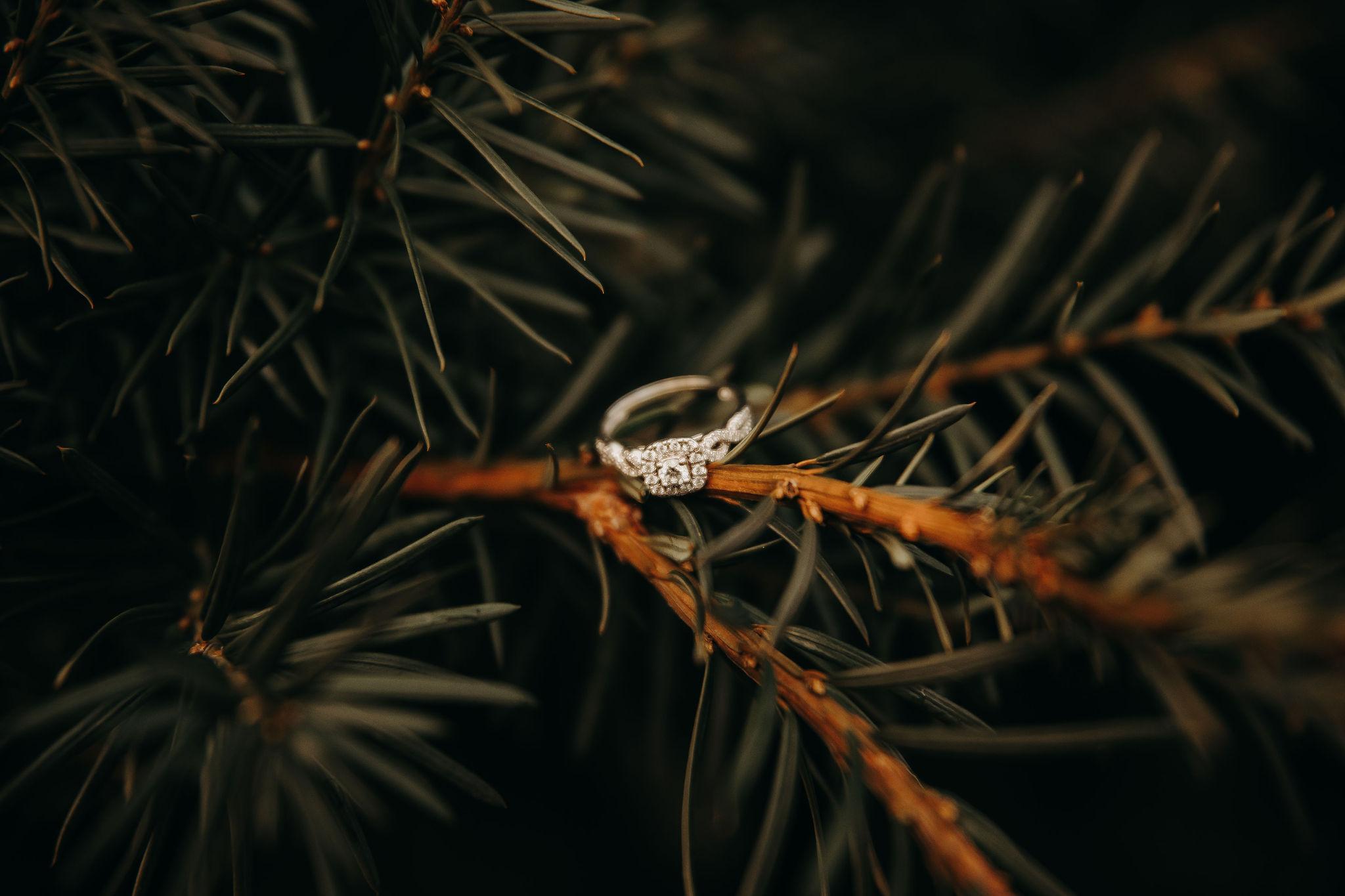 The Wedding Website of Sydney Speckin and Cooper Diamond