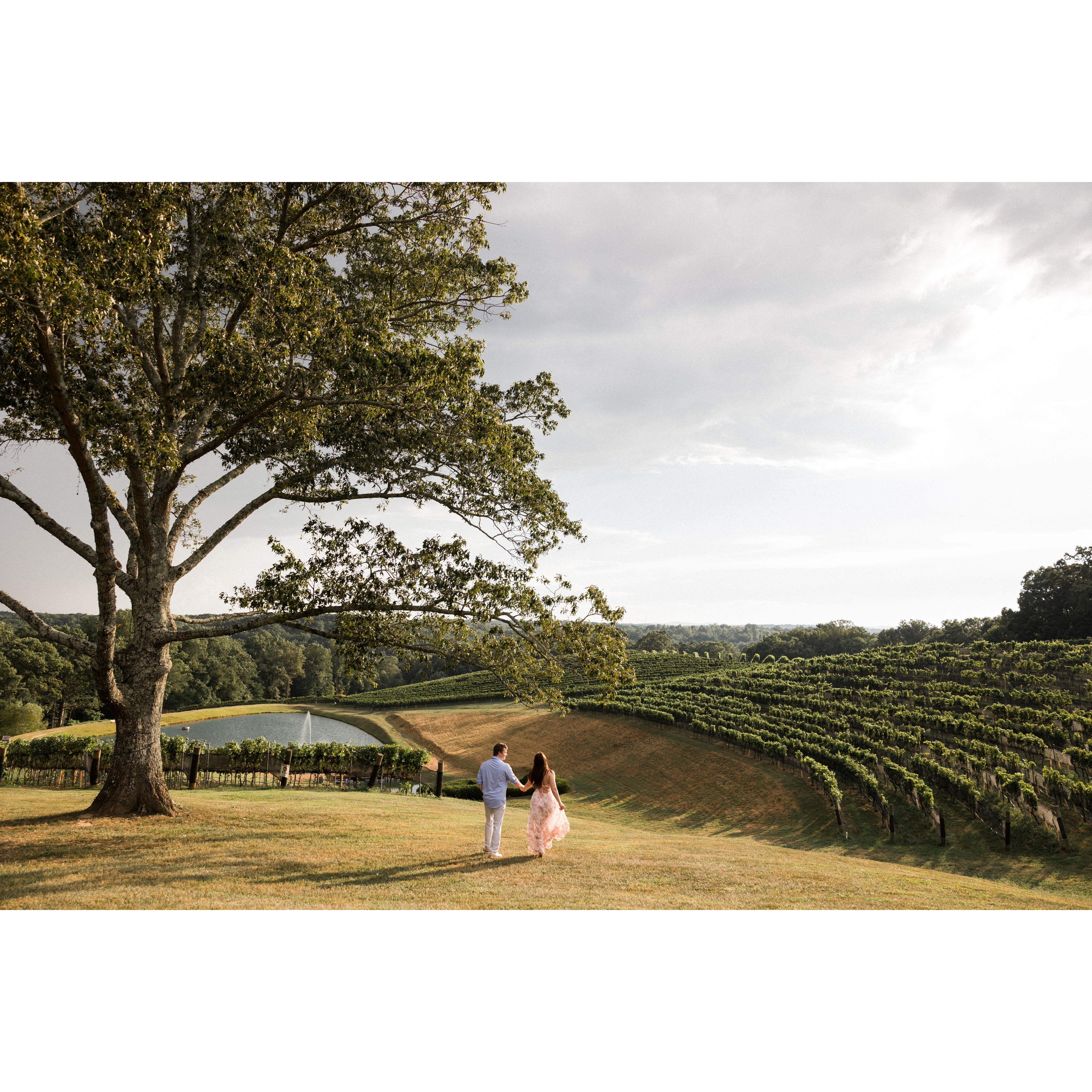 Photo: Kim Hymes Photography