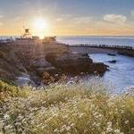 Downtown La Jolla - walk around!
