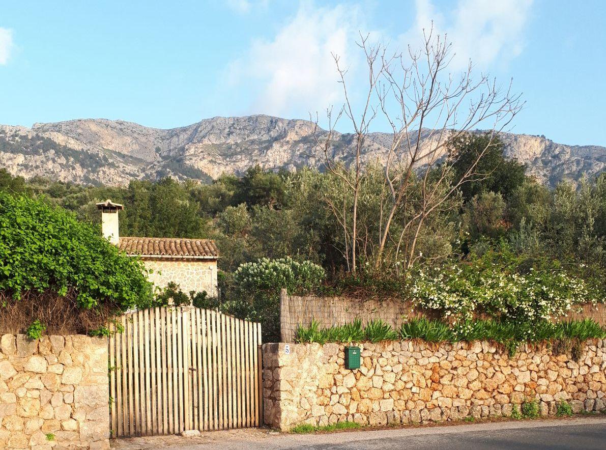 The Wedding Website of Enrique Dillon and Tanya Bravo