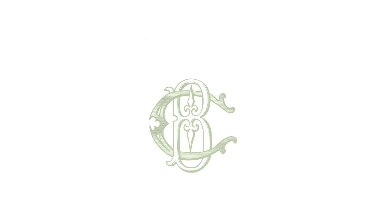 Footer image