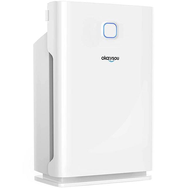 Okaysou Smart Air Purifier with Washable 3 Filters, Medical Grade H13 True HEPA, 5-in-1 Large Room Cleaner for Pets, Asthma, Smokers, Remove 99.97% Dust Pollen Smoke Odor,1000 Sq Ft, White