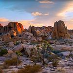 Joshua Tree National Park