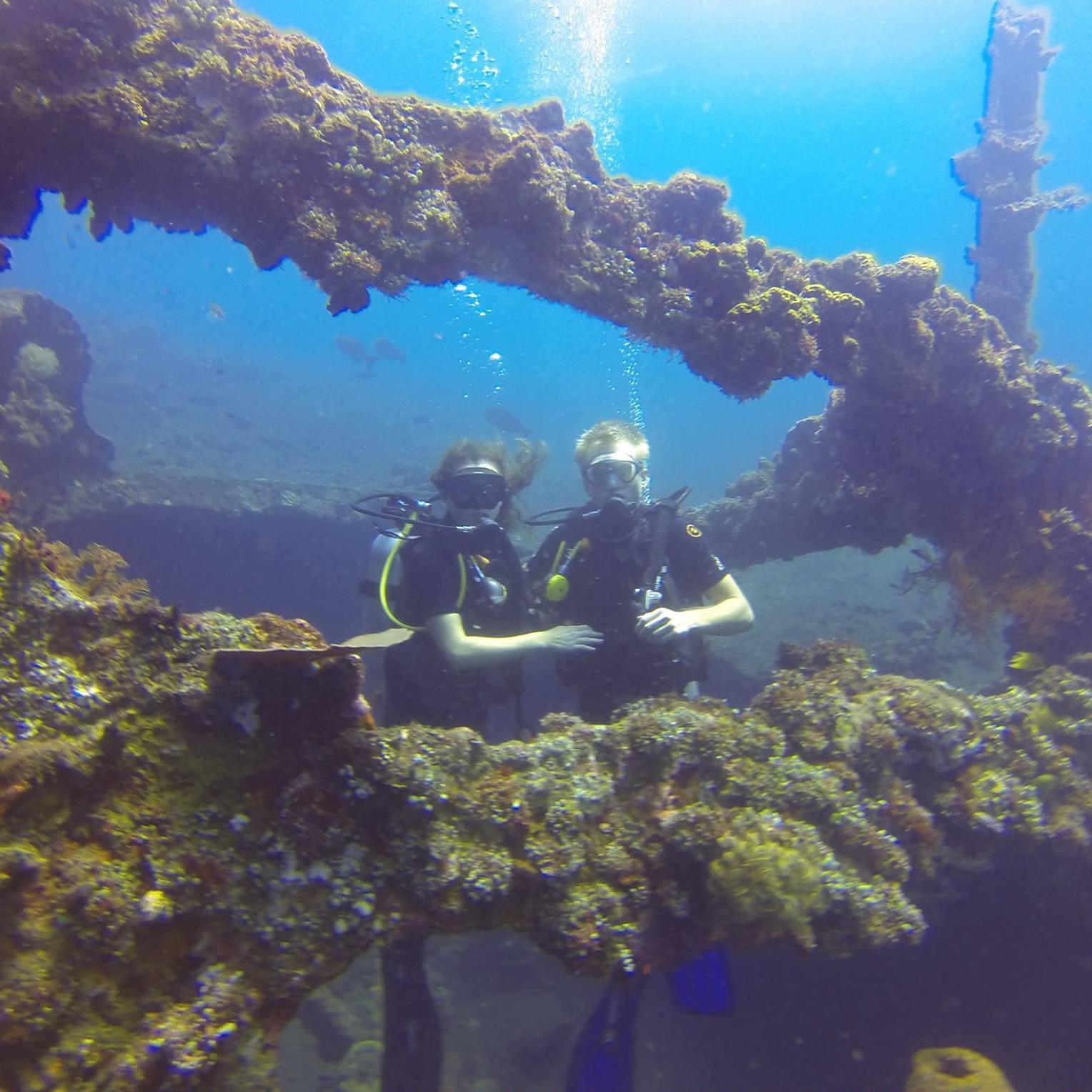 Our first (but definitely not last) SCUBA trip together! We swam through the USS Liberty Wreck, saw a shark, and pet a sea turtle!