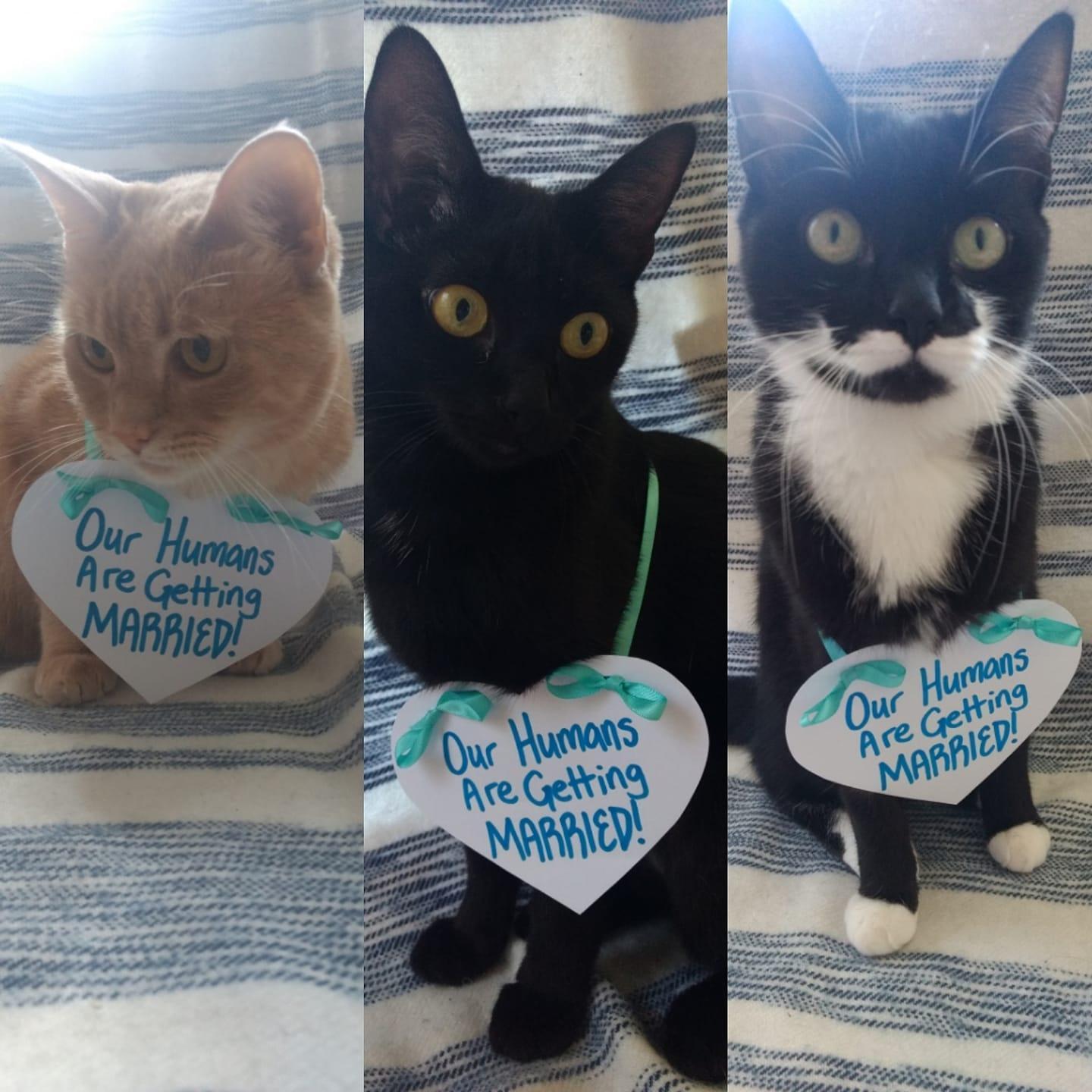 Engagement announcement with the help of our girls!