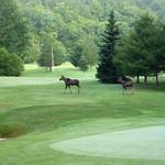 White River Golf Course