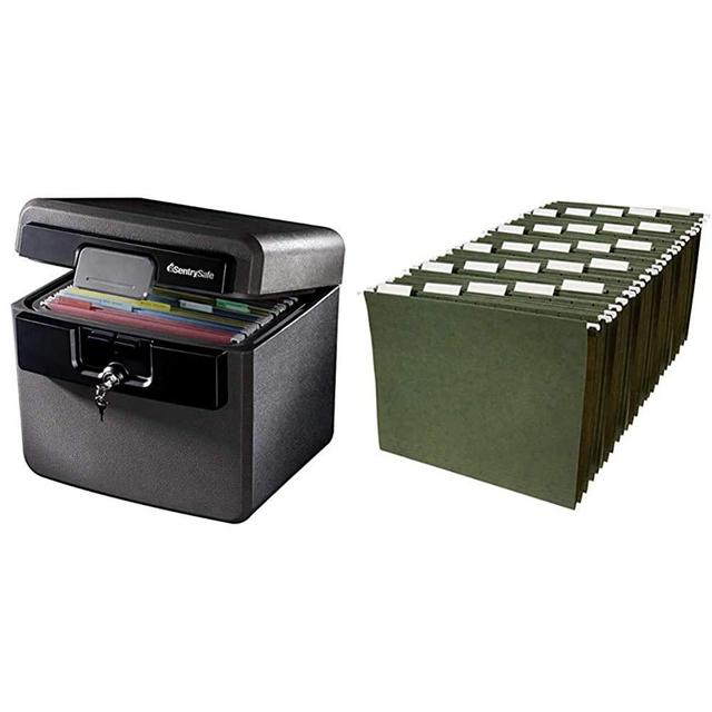 SentrySafe HD4100 Fireproof Safe and Waterproof Safe with Key Lock 0.65 Cubic Feet & Amazon Basics Hanging Organizer File Folders - Letter Size, Green - Pack of 25