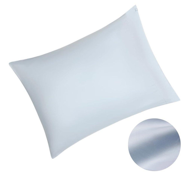 Silvon Premium Pillow case for Acne Prone Skin-Silver Infused Smart Fabric -No Odor and Acne-Causing Bacteria - Breathable and Ultra Soft Supima Cotton (Standard, Sky/Blue)