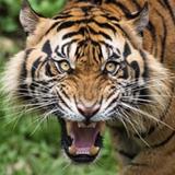 Fort Worth Zoo