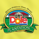 Dole Plantation