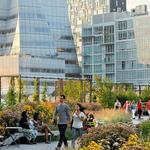 The High Line