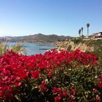 Shell Beach