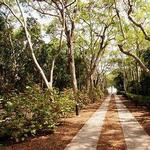 Fairchild Tropical Botanic Garden