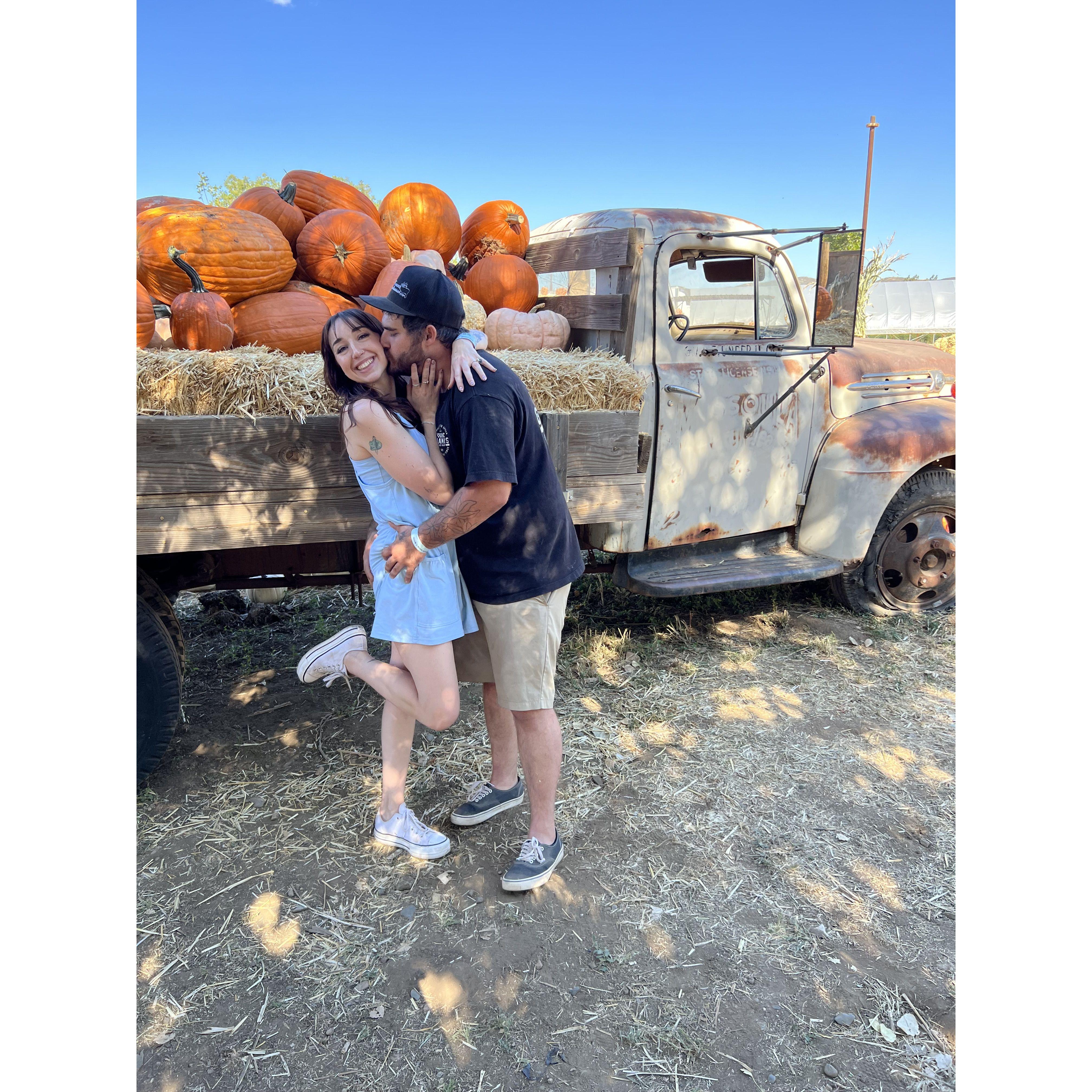 Pumpkin patch love
