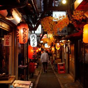 Honeymoon to Japan