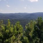 Buzzard's Roost