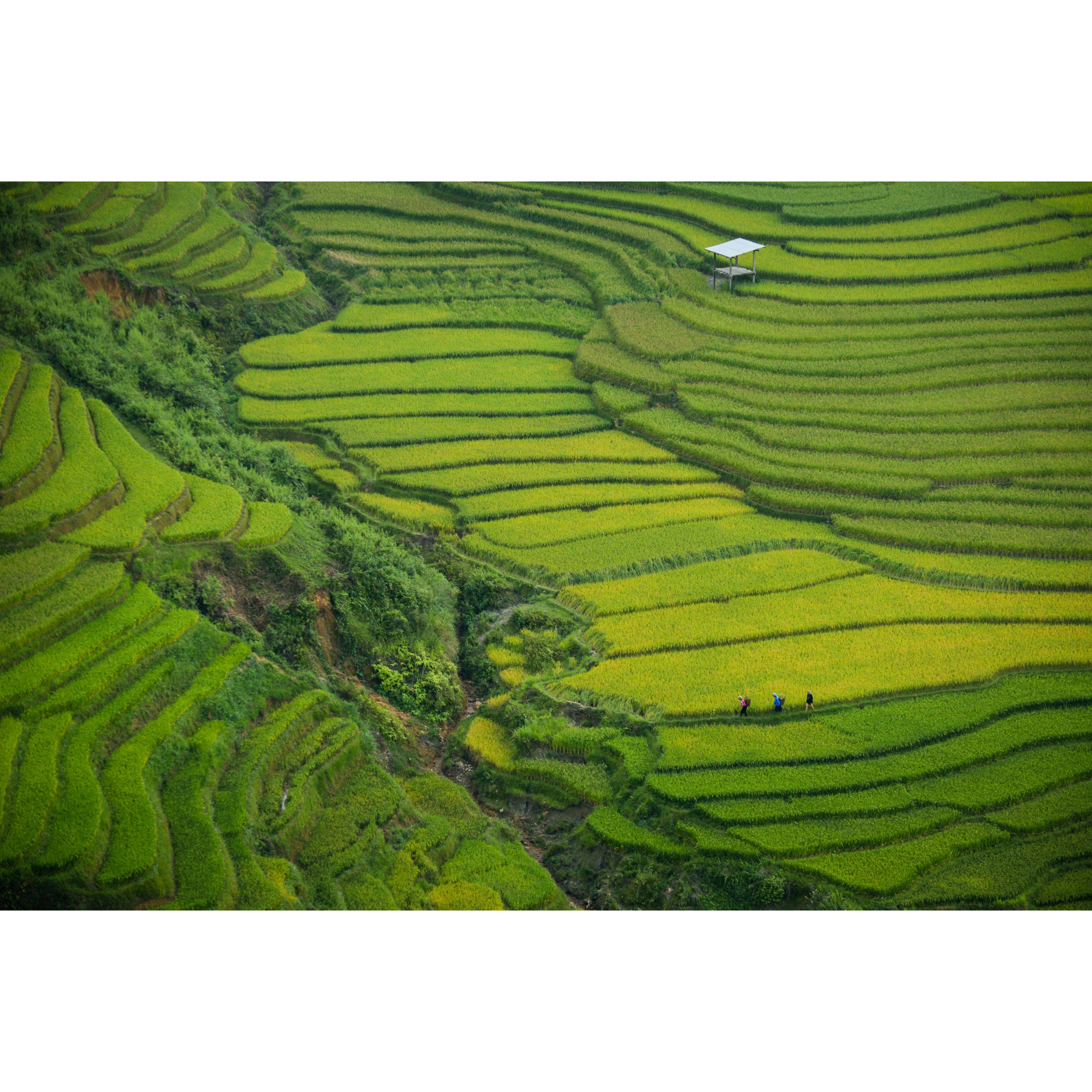 Fede ed io siamo fan di Gianluca Gotto e, grazie al suo libro "Succede sempre qualcosa di meraviglioso", ci siamo lasciati affascinare dal Vietnam, un Paese che unisce natura mozzafiato, città vibranti e spiagge paradisiache.