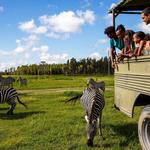 Safari Wilderness Ranch