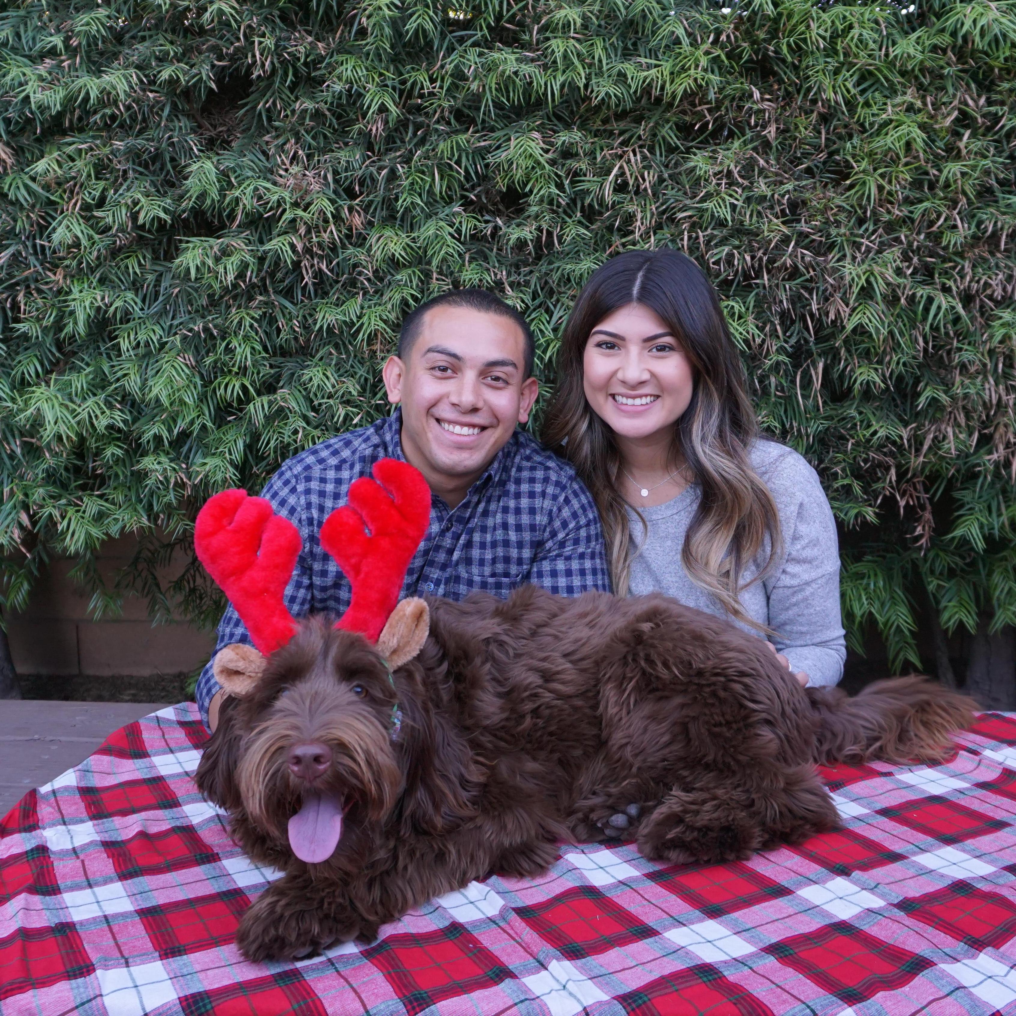 Our 2017 Christmas card! With Kylo of course.