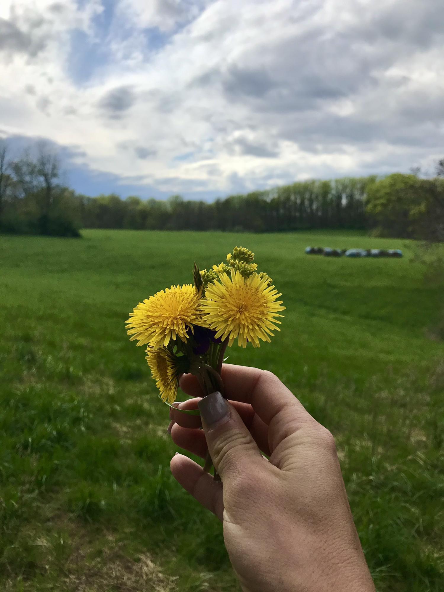 Susquehanna State Park