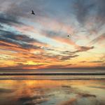 Enjoy A Walk On the Beach