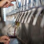 Suds - In Vino Veritas