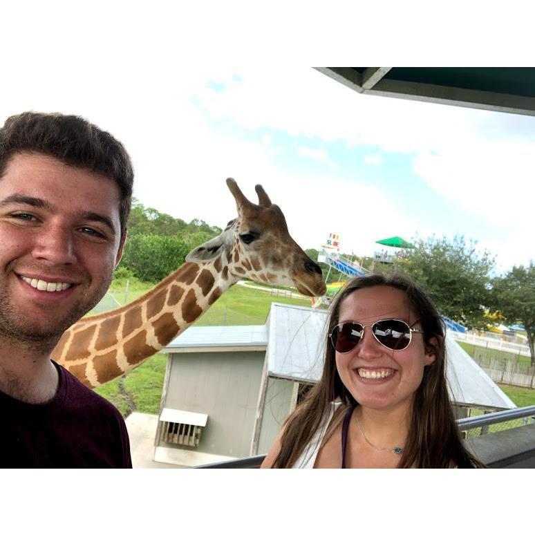 2019
Our new friend from Lion Country Safari in Loxahatchee, Florida!