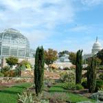 United States Botanic Garden