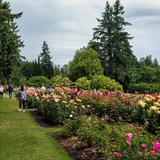 Washington Park
