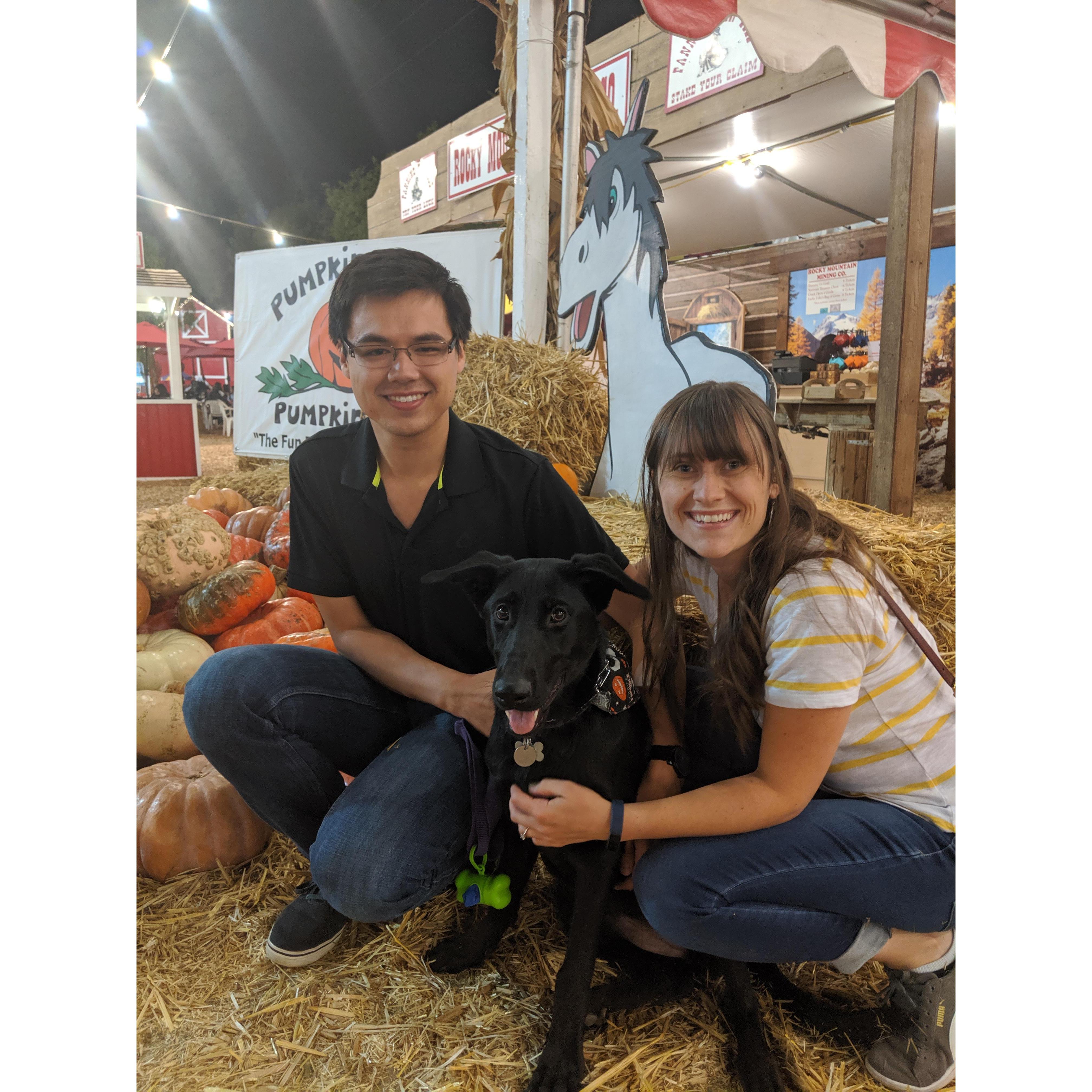 Our pumpkin patch trip with puppy Denali, Oct. 2019