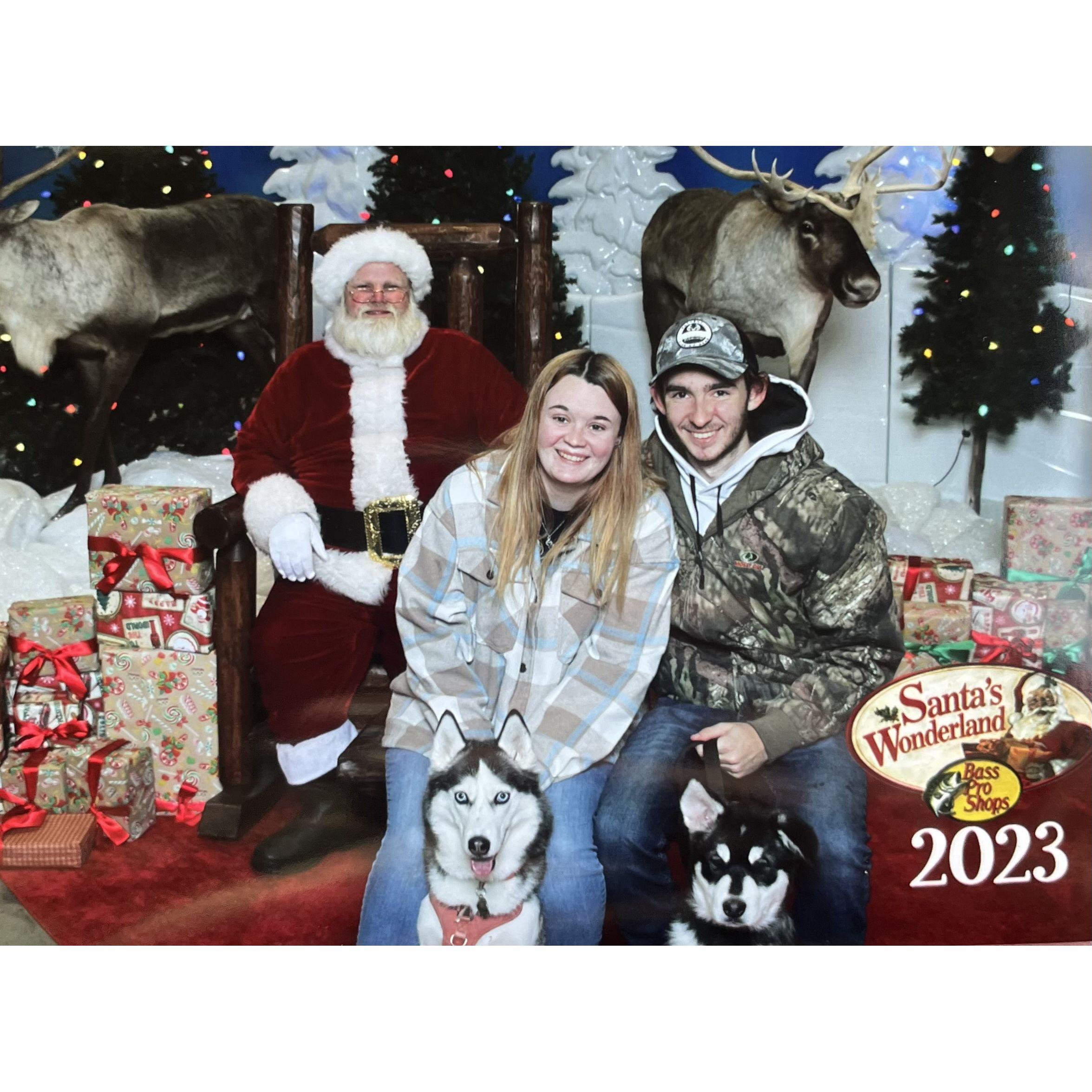 First Christmas photo with the dogs