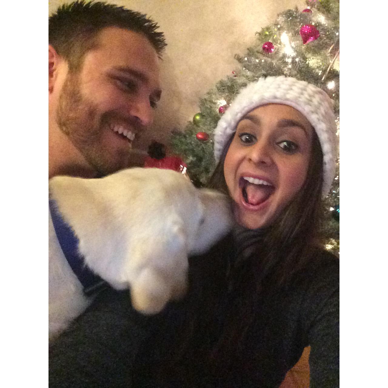 First Christmas with our new fur baby Bentley