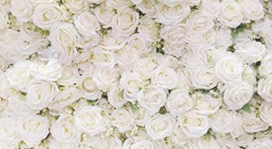 The Wedding Website of Elzie Mckinley and Donah Mike
