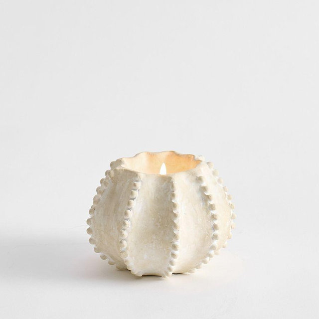 Coastal Artisan Studio Candle – Sea Urchin (Navy Beach) – Small