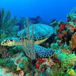 Isla Mujeres